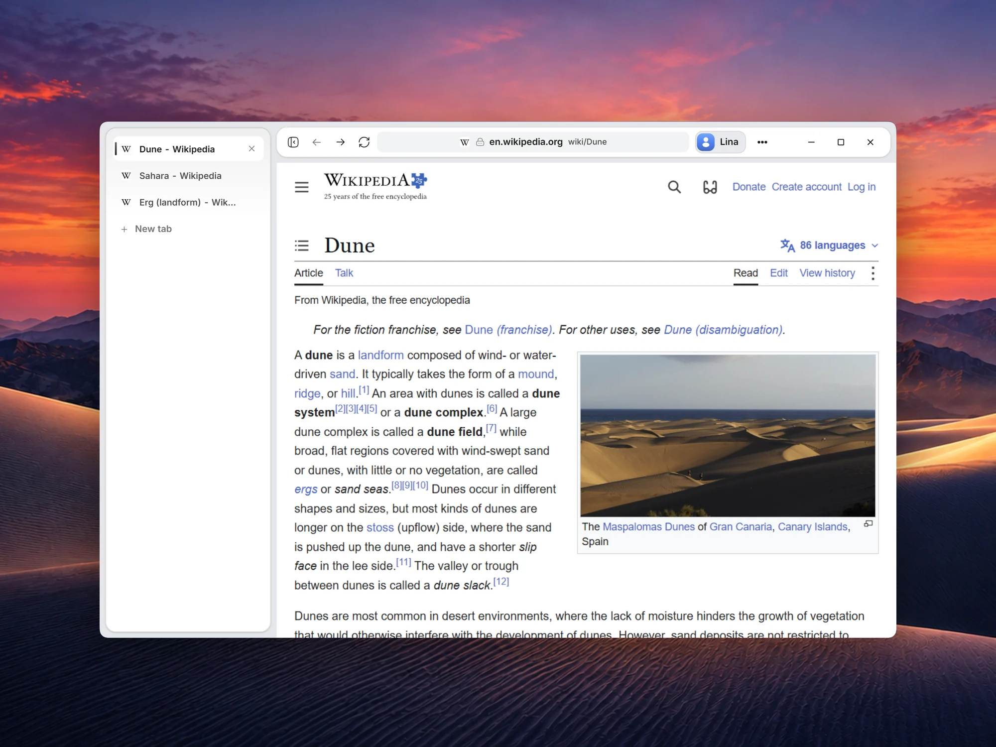 Polaris with its tabs in a sidebar on the left of the page.